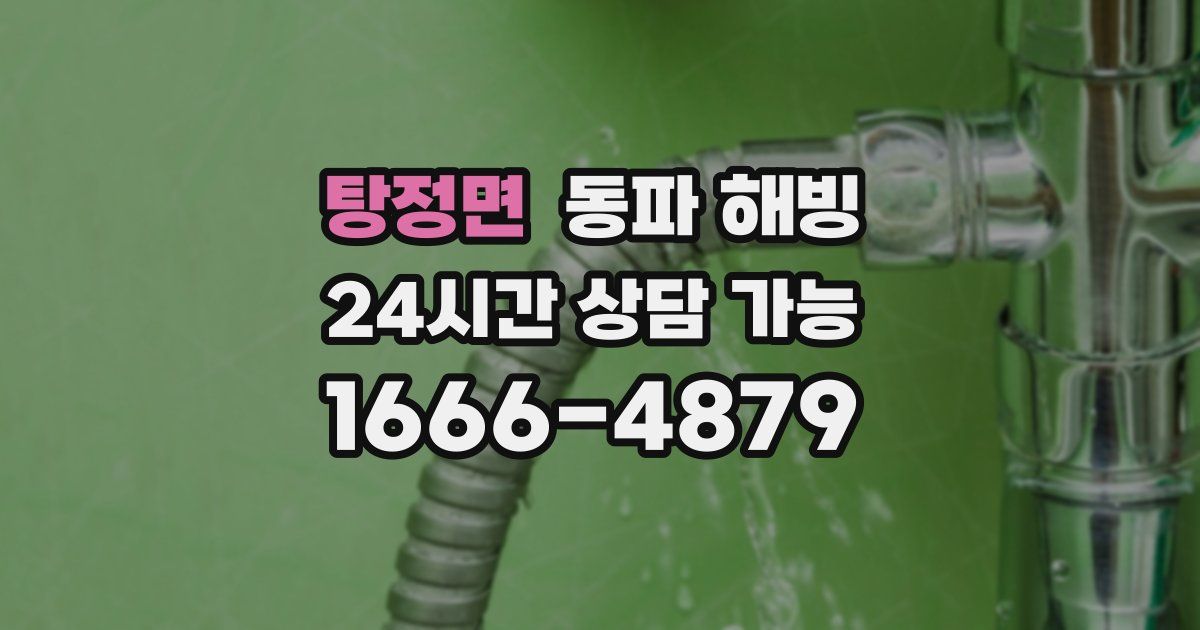 탕정면 동파 해빙