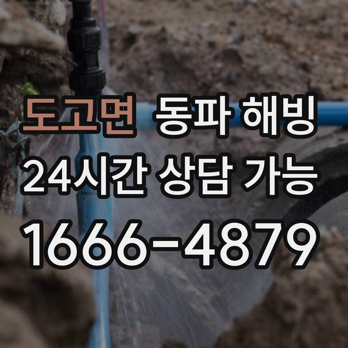 도고면 해빙