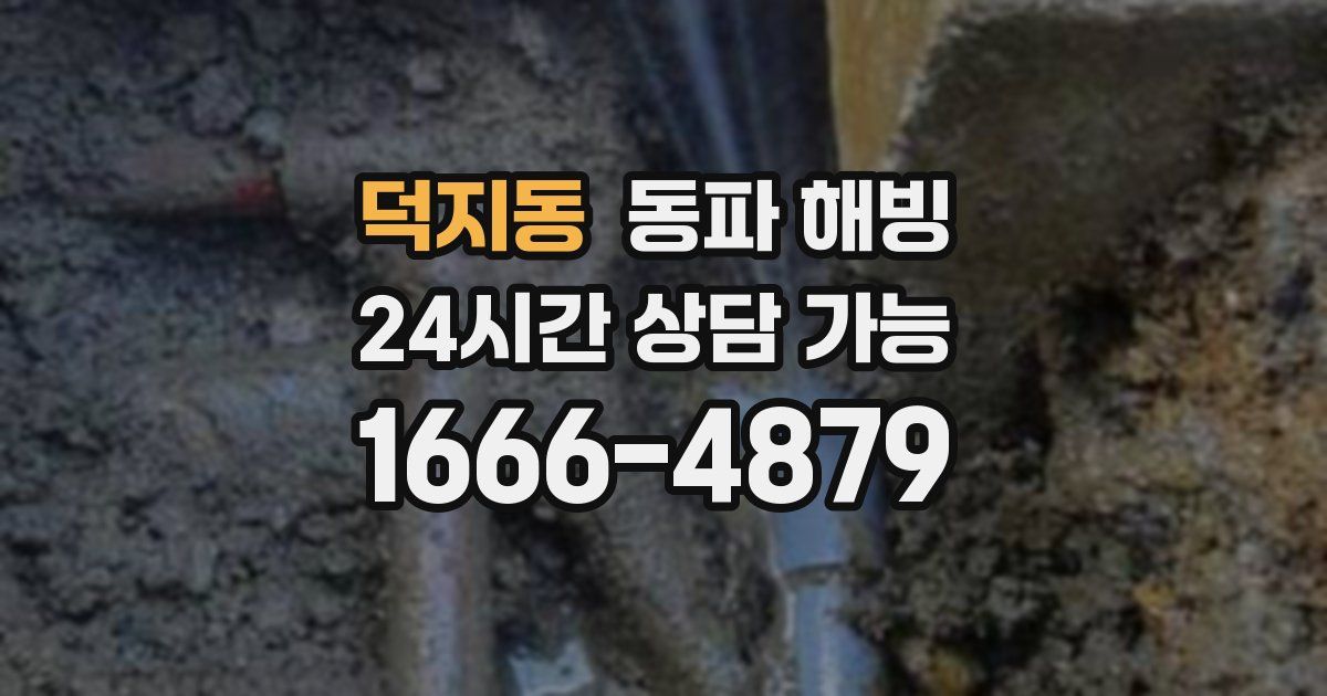 덕지동 동파 해빙