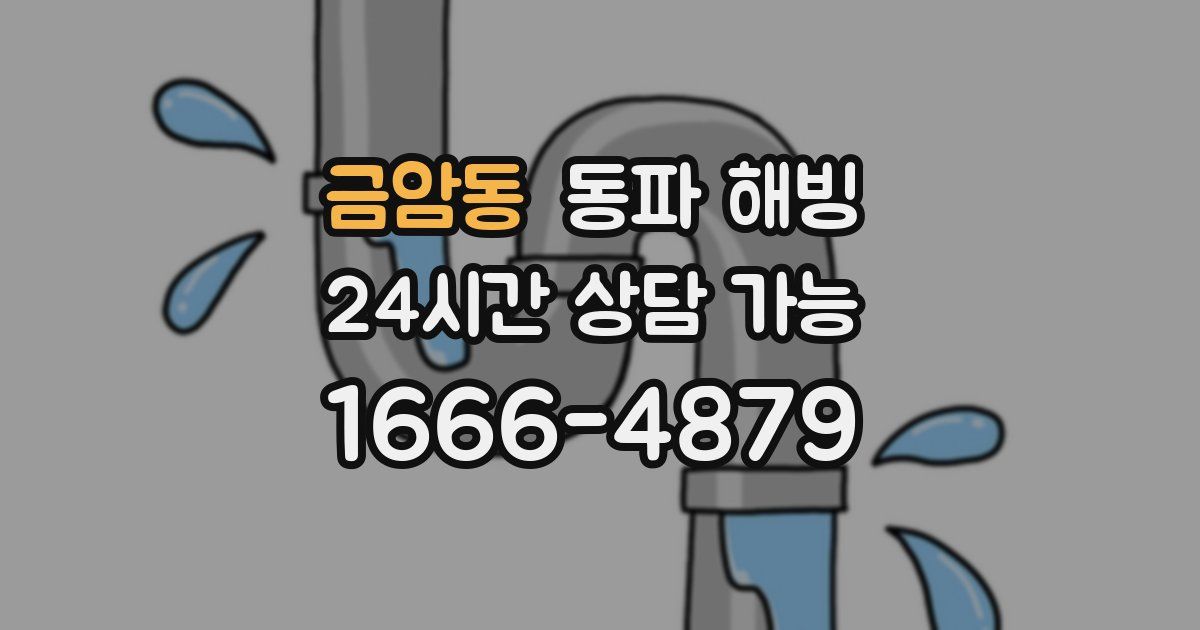 금암동 동파 해빙