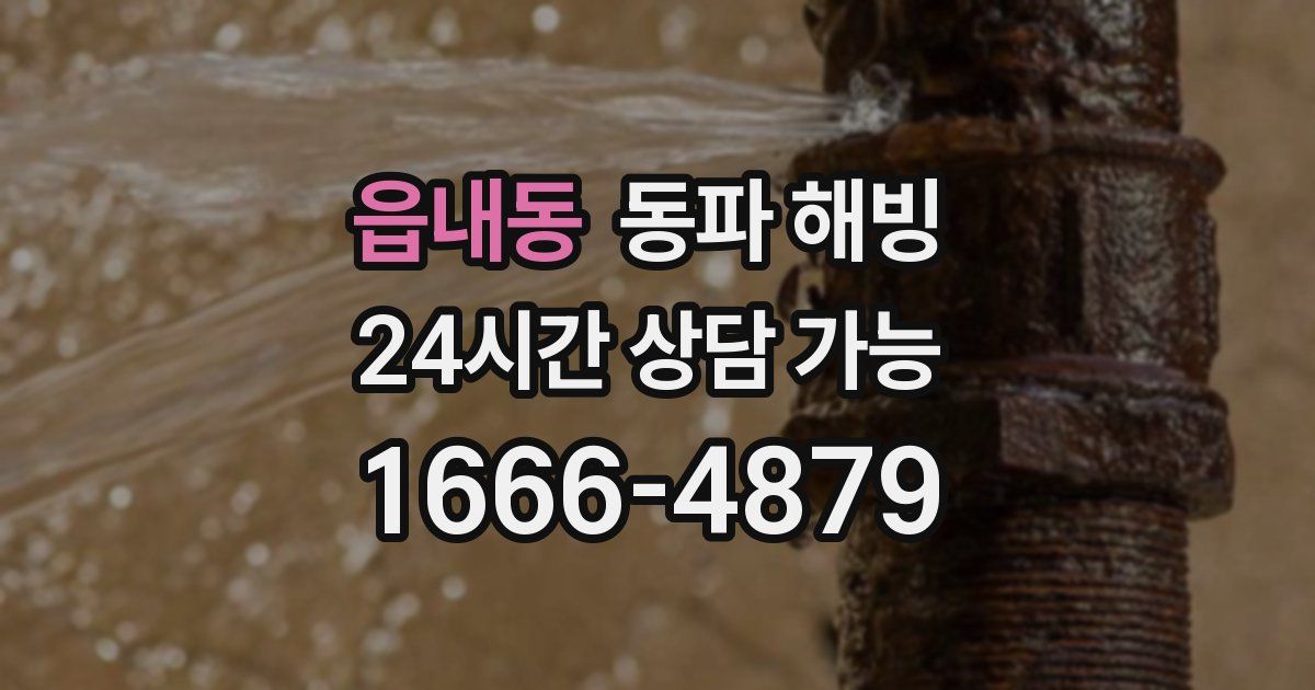 읍내동 동파 해빙