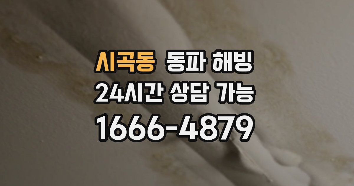 시곡동 동파 해빙