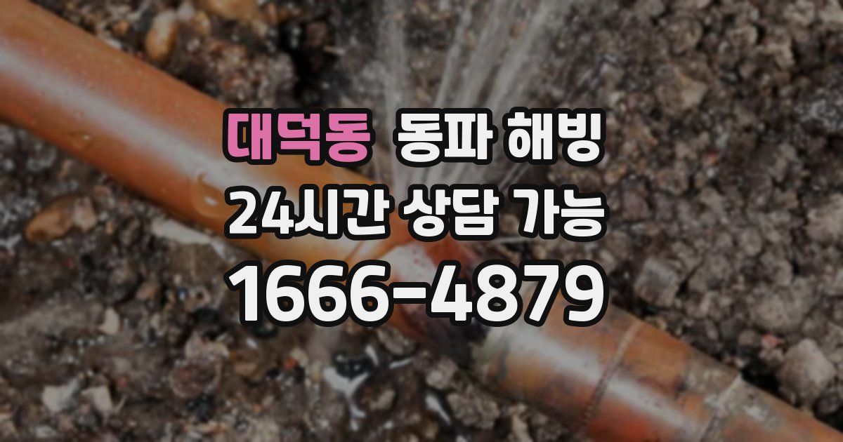 대덕동 동파 해빙