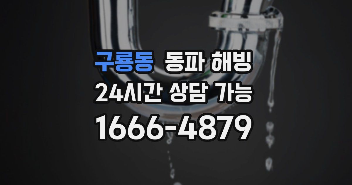 구룡동 동파 해빙