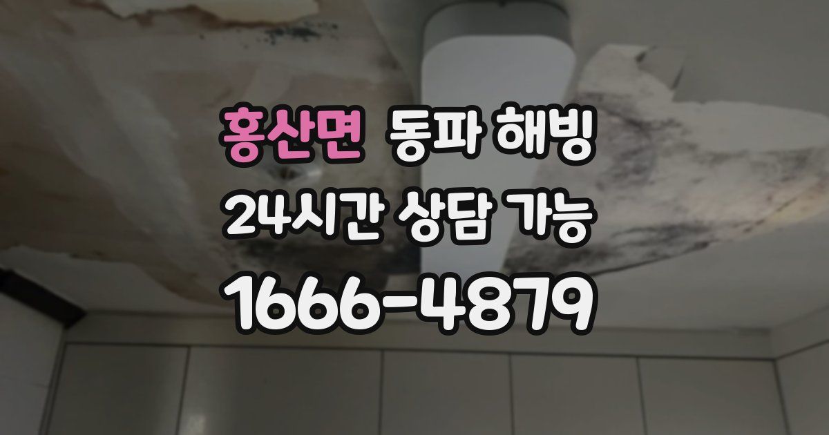 홍산면 동파 해빙