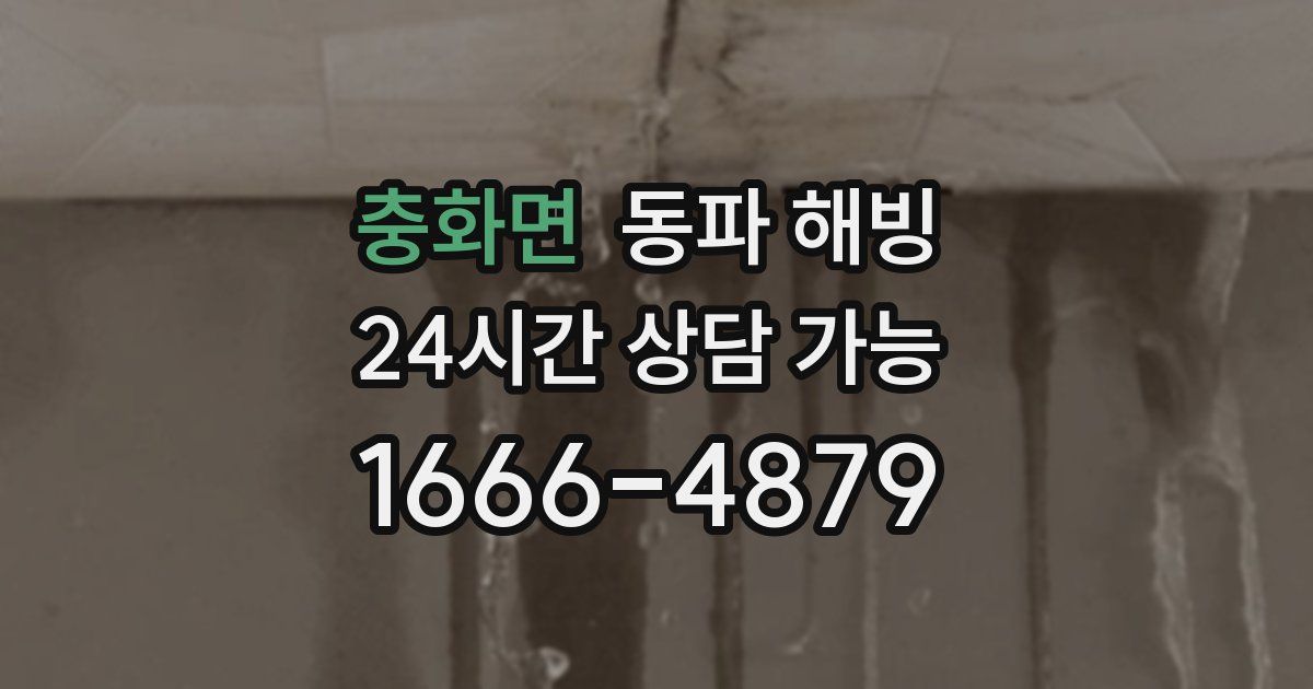 충화면 동파 해빙