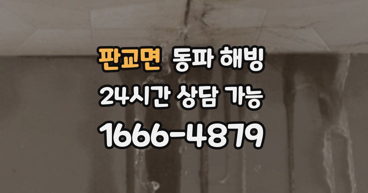 판교면 동파 해빙