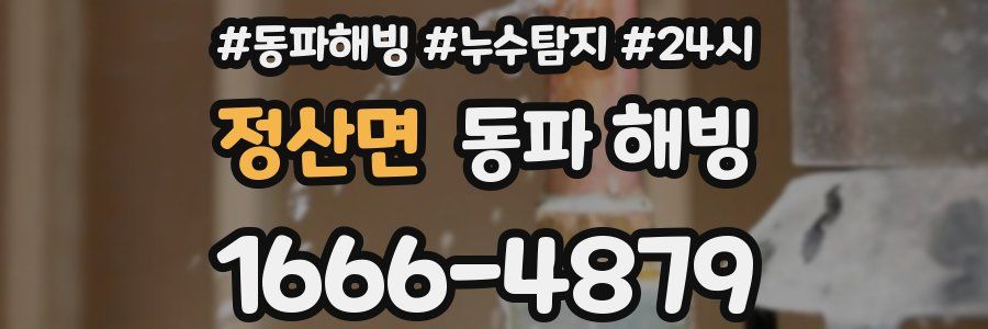 정산면 동파