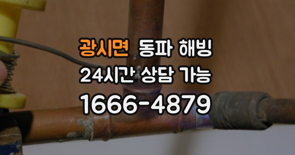 광시면 동파 해빙