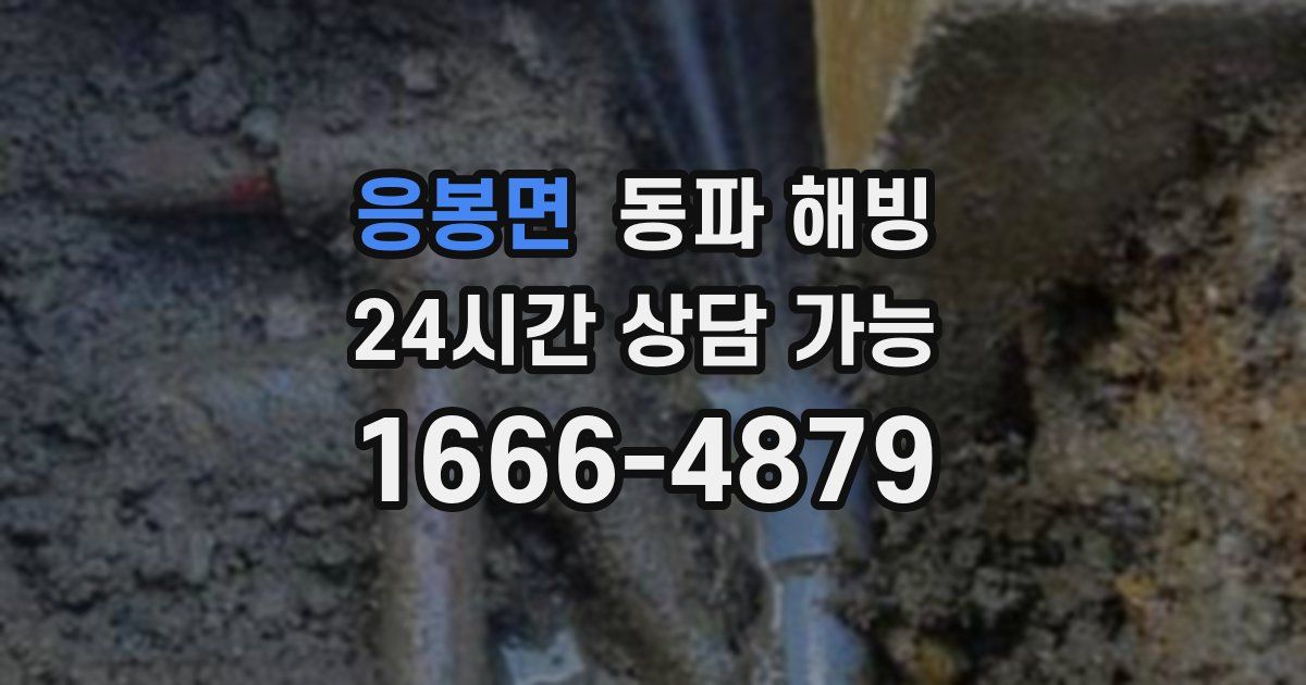 응봉면 동파 해빙