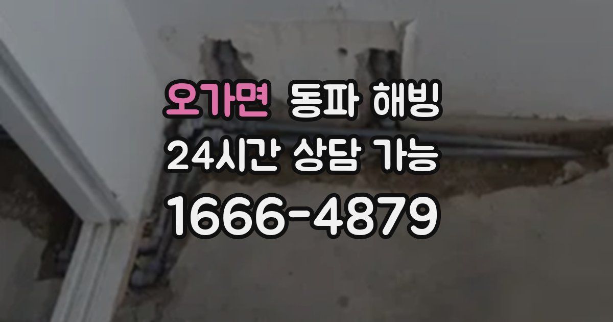 오가면 동파 해빙