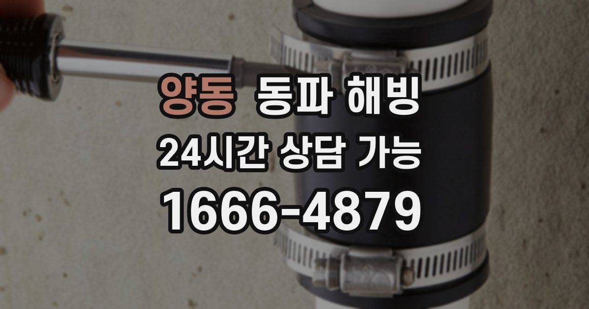 양동 동파 해빙