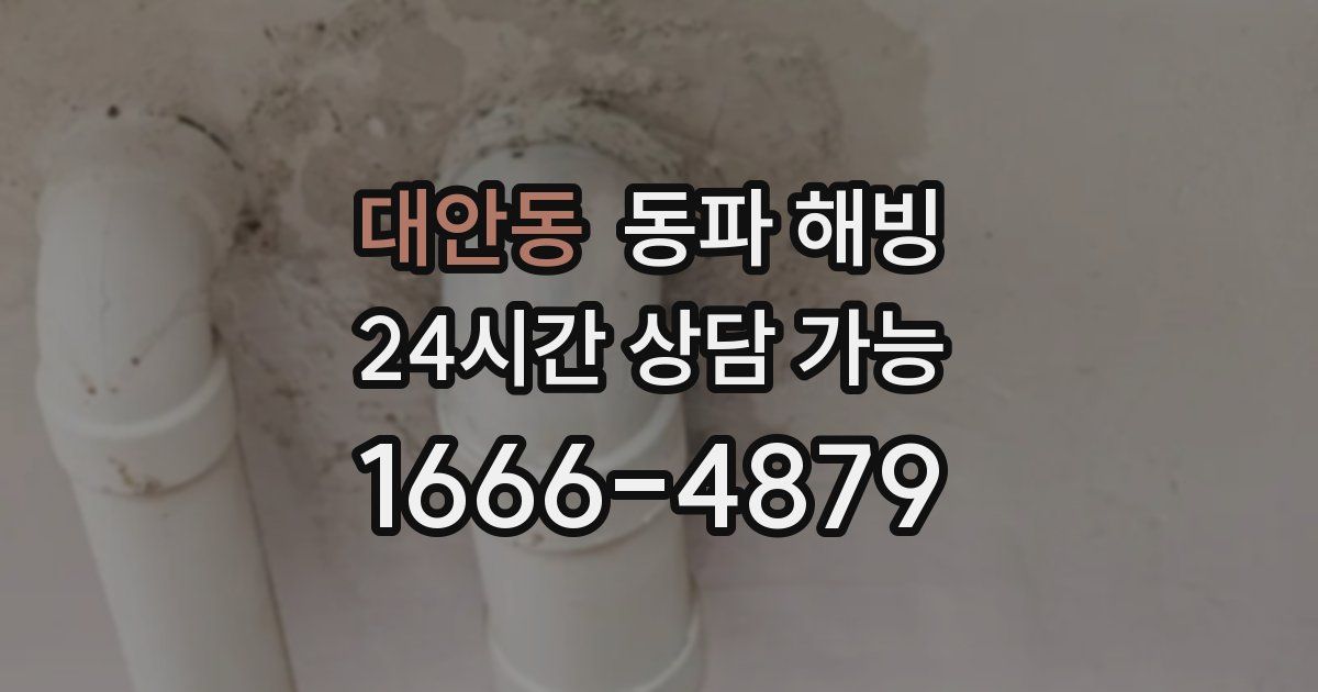 대안동 동파 해빙