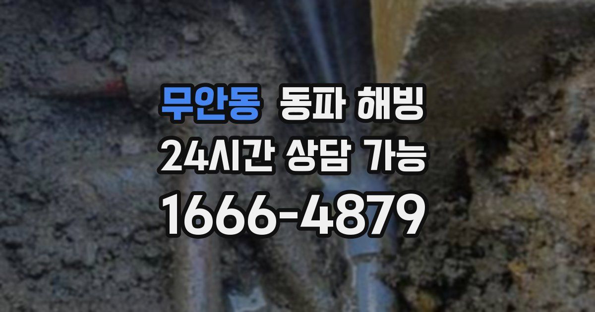 무안동 동파 해빙