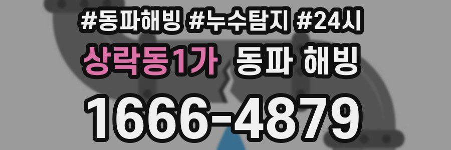 상락동1가 동파