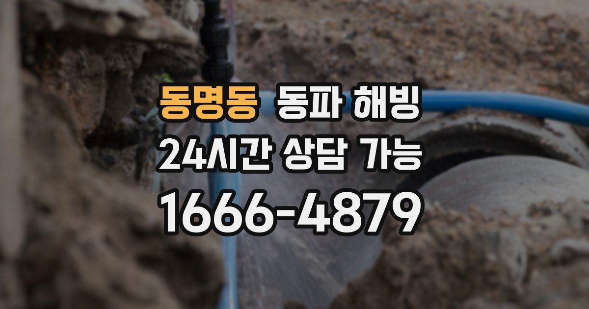 동명동 동파 해빙