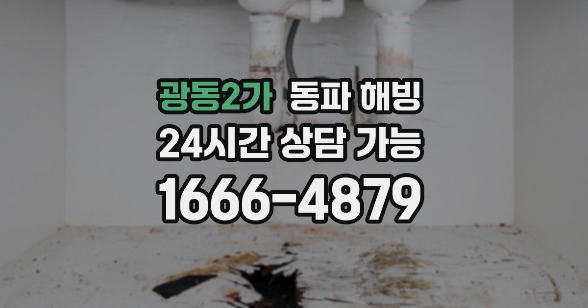 광동2가 동파 해빙