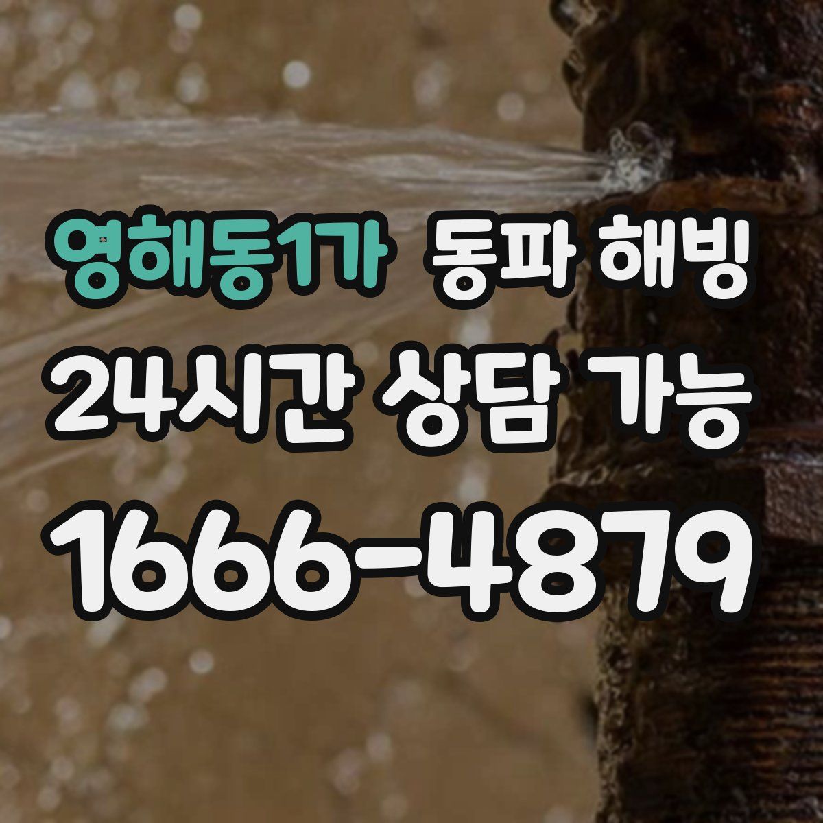 영해동1가 해빙