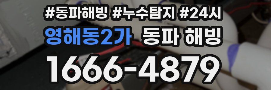 영해동2가 동파