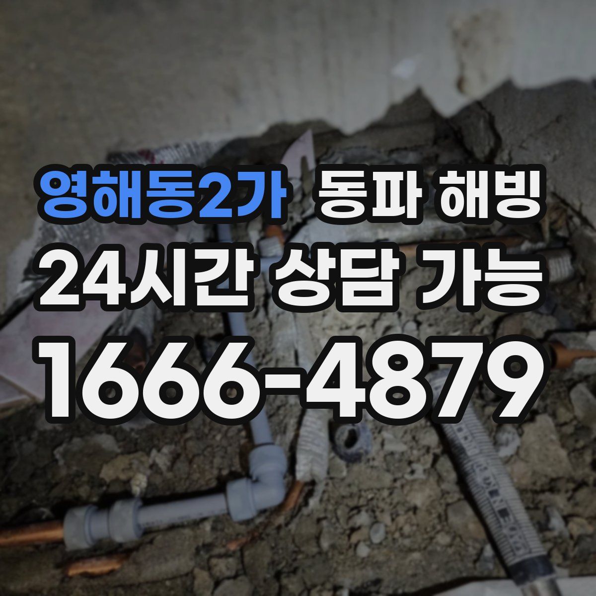 영해동2가 해빙