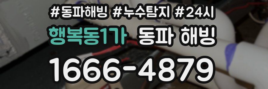 행복동1가 동파