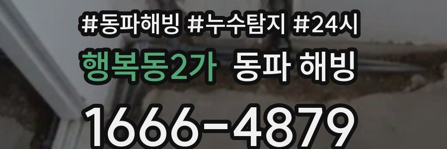 행복동2가 동파