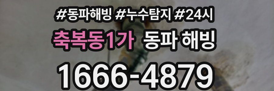 축복동1가 동파