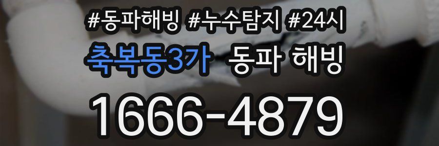 축복동3가 동파