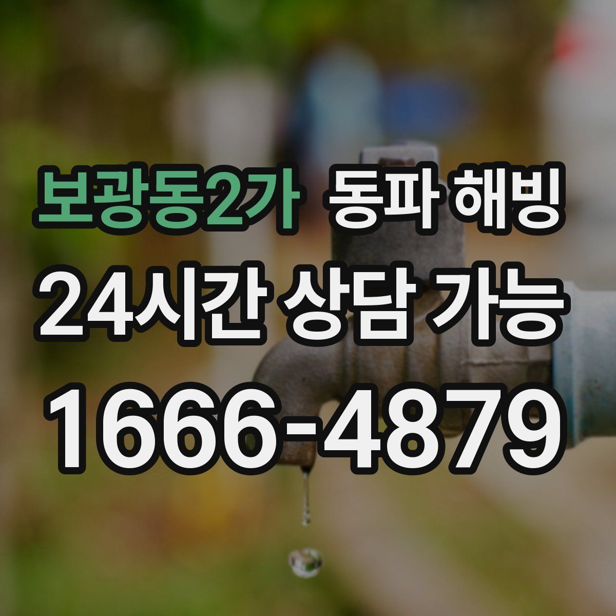 보광동2가 해빙