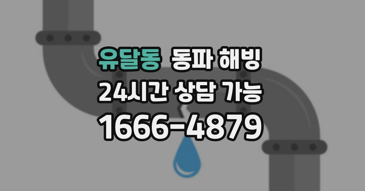 유달동 동파 해빙