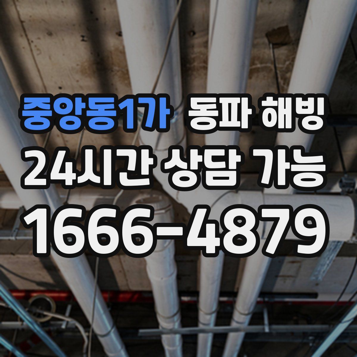 중앙동1가 해빙