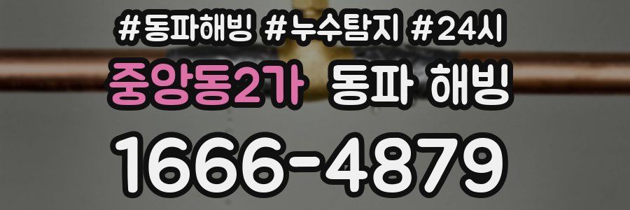 중앙동2가 동파