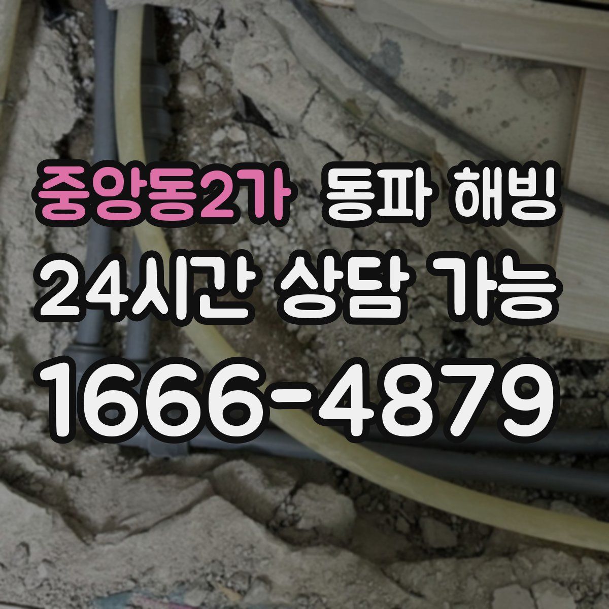 중앙동2가 해빙