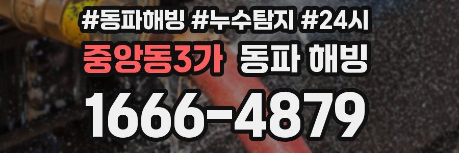 중앙동3가 동파