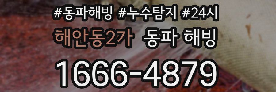 해안동2가 동파