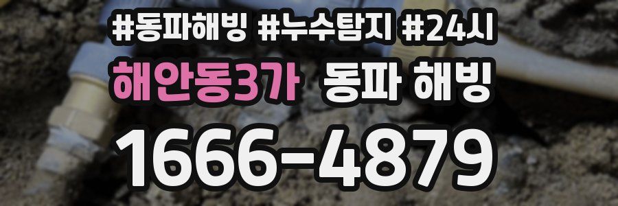 해안동3가 동파
