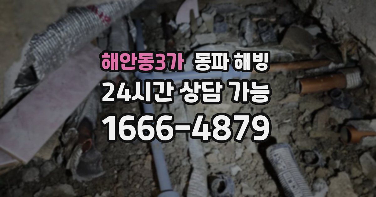 해안동3가 동파 해빙