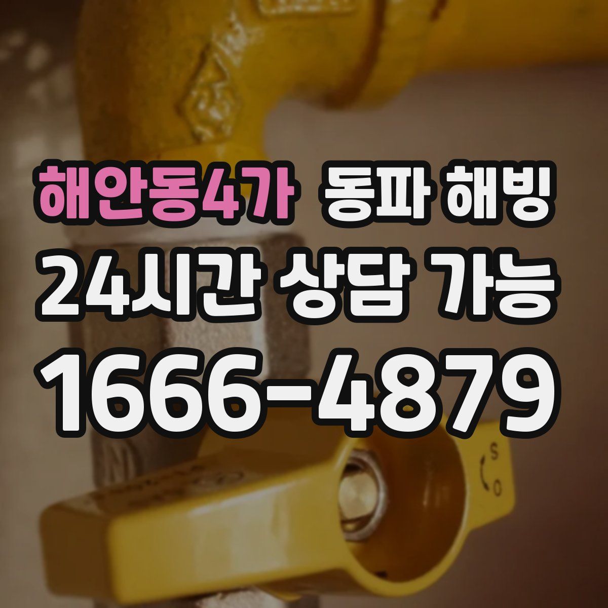 해안동4가 해빙