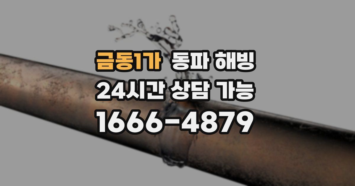 금동1가 동파 해빙