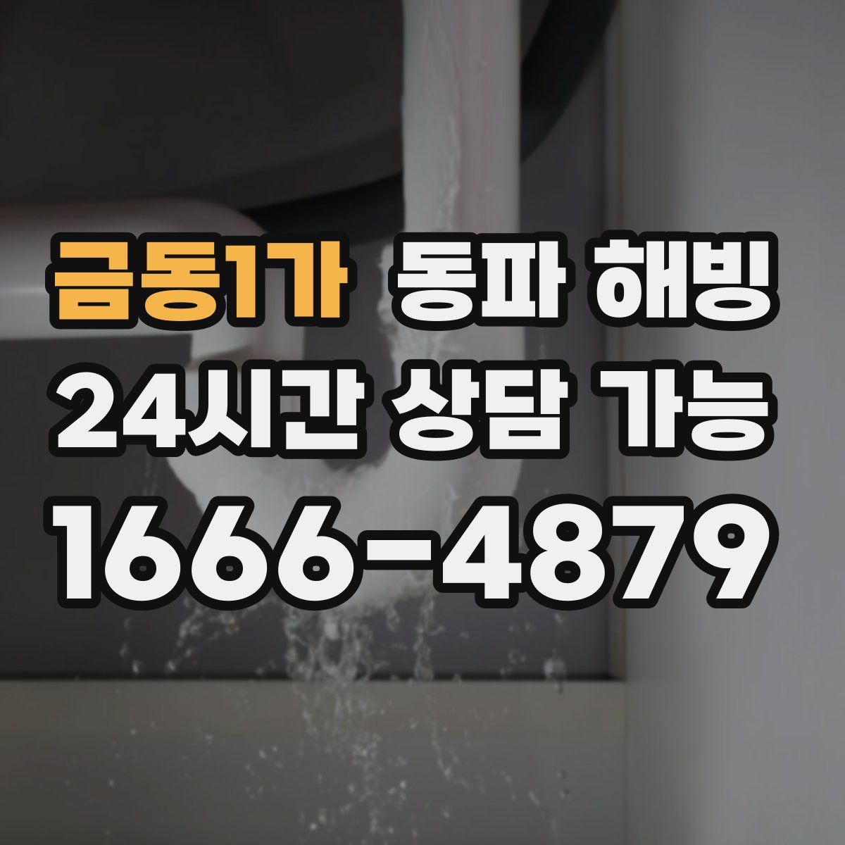 금동1가 해빙