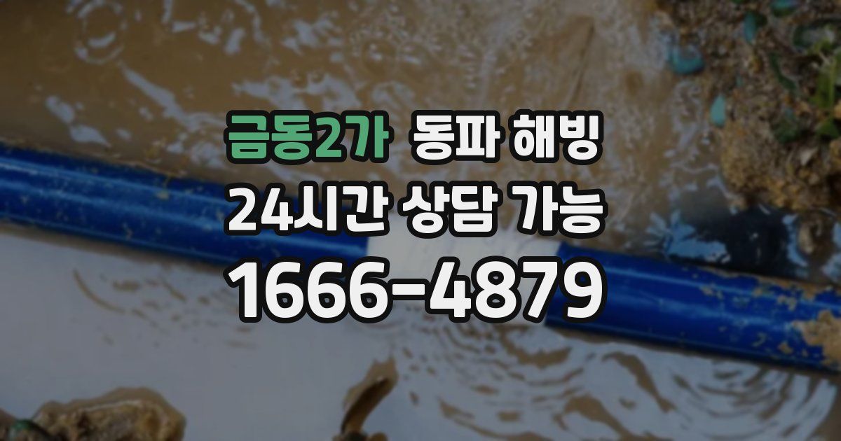 금동2가 동파 해빙