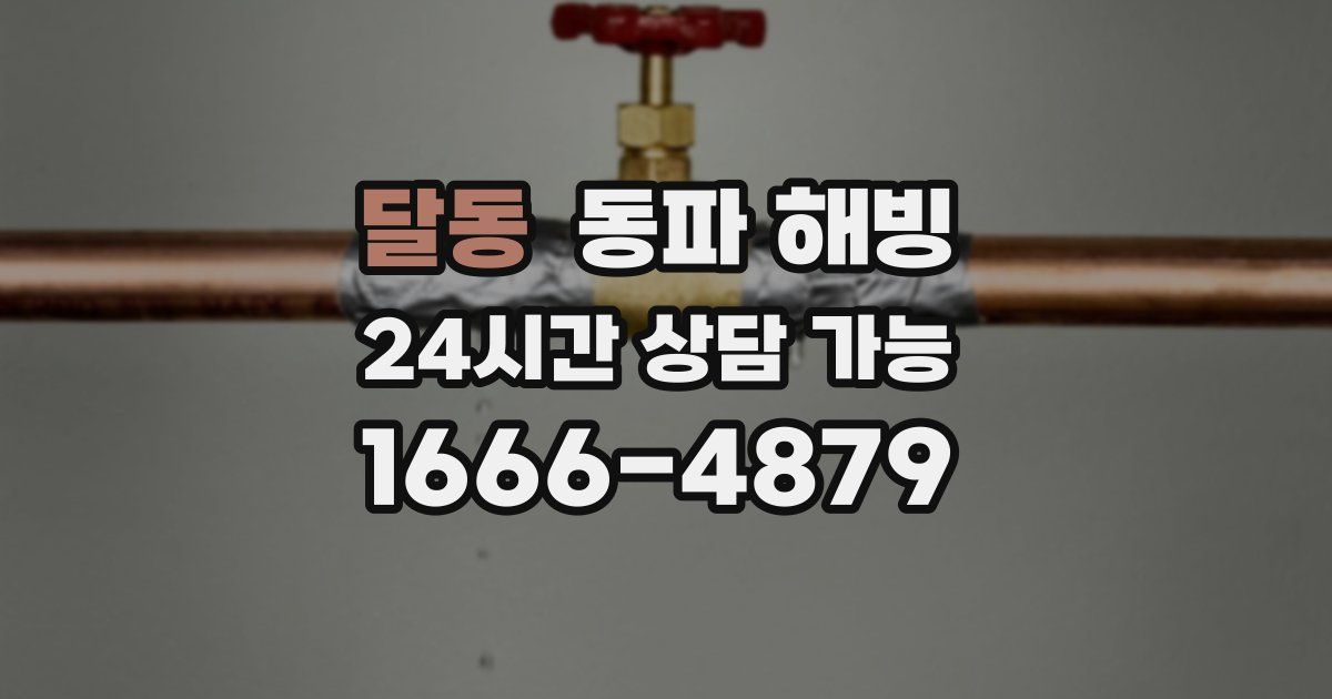 달동 동파 해빙