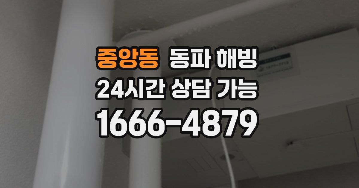 중앙동 동파 해빙