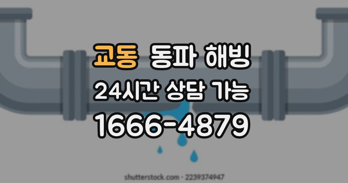 교동 동파 해빙