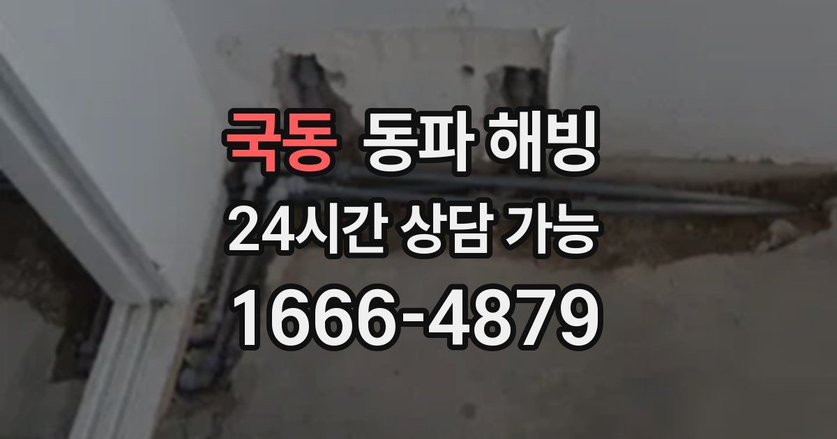 국동 동파 해빙