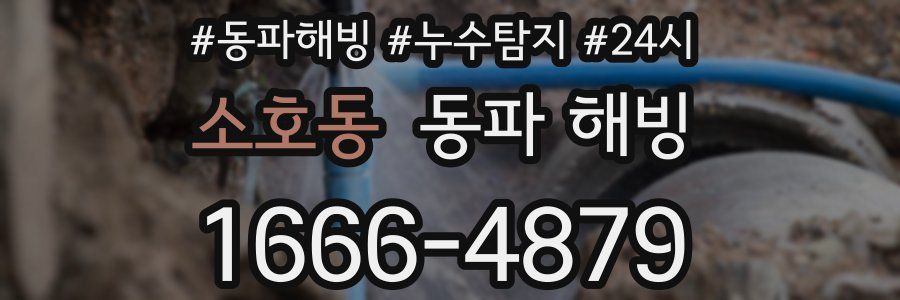 소호동 동파