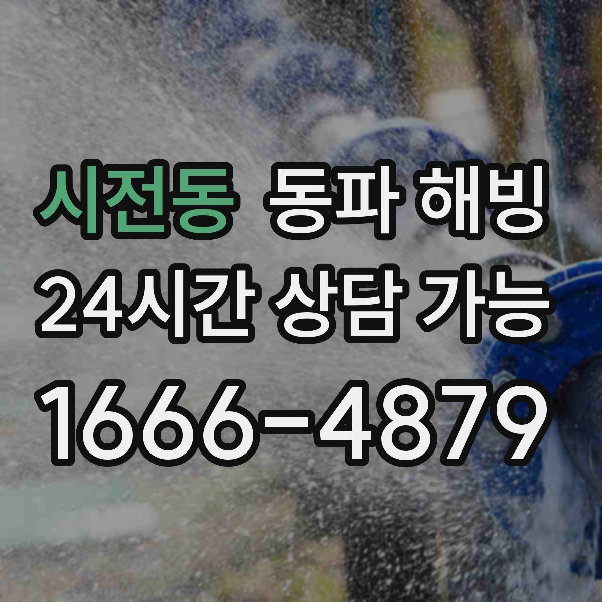시전동 해빙