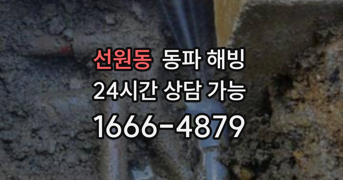 선원동 동파 해빙