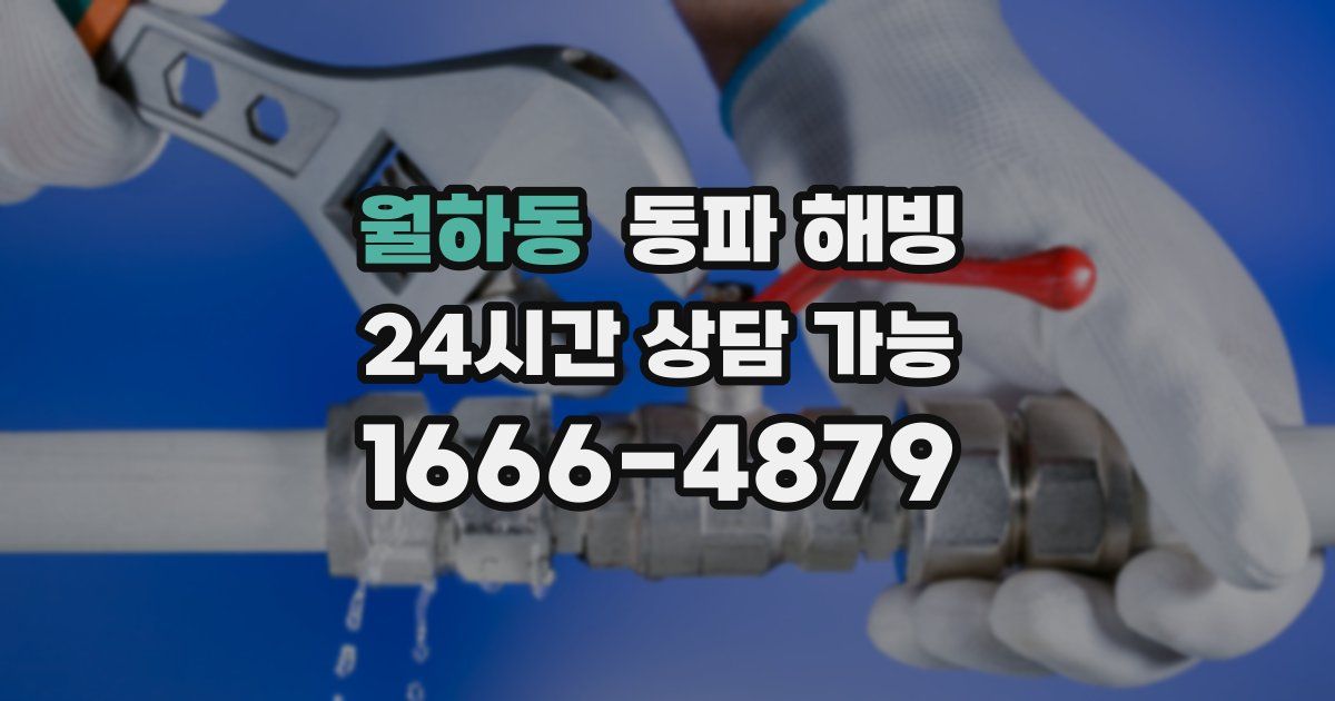 월하동 동파 해빙