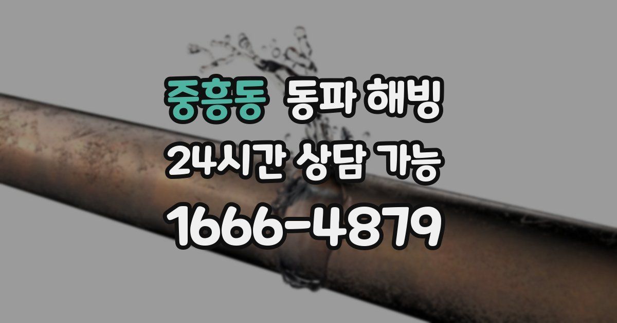 중흥동 동파 해빙